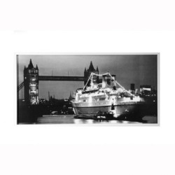Pannello decorativo "Finnpartner Ferry at Tower Bridge"